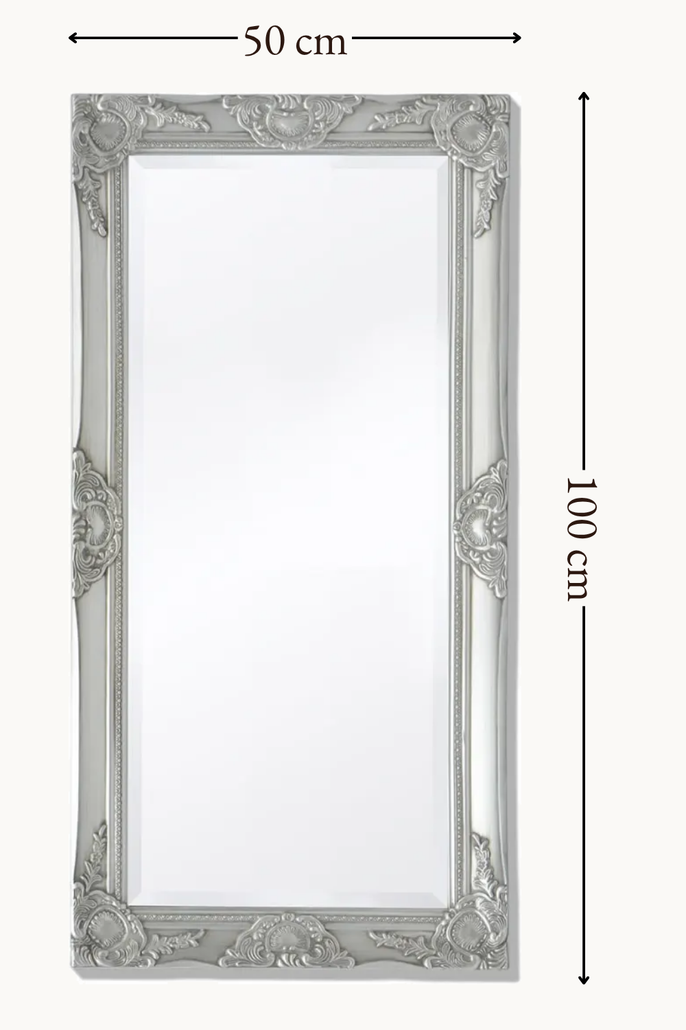 Grand miroir baroque, argent patiné 100×50 cm. Installé dans un intérieur habité.